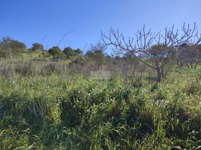 Terrenos Vila do Bispo Algarve DS59883309