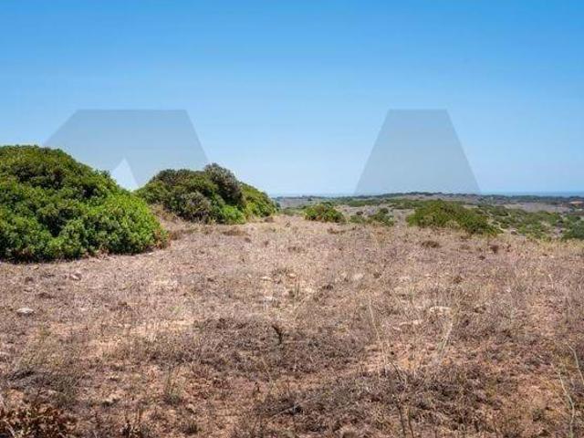 Terrenos Vila do Bispo Algarve DS87838964