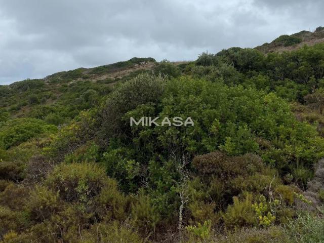 Terrenos Vila do Bispo Algarve DS95655487