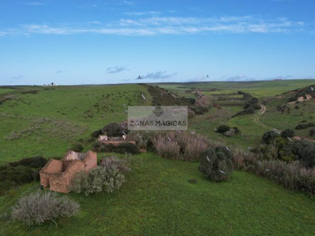 Terrenos Vila do Bispo Algarve DS99722882