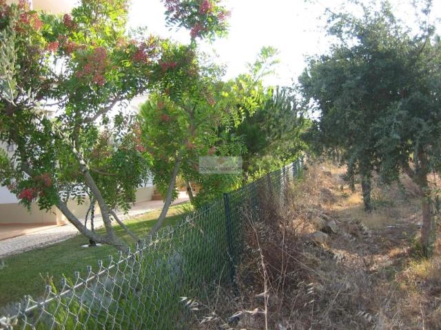 Terrenos Vila do Bispo Algarve DS99722932
