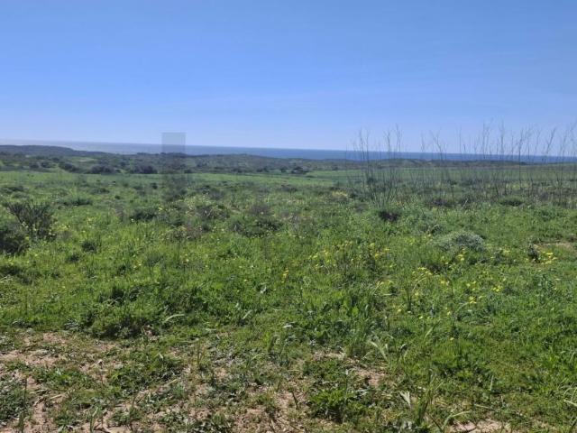 Terrenos Vila do Bispo Algarve DS100681854