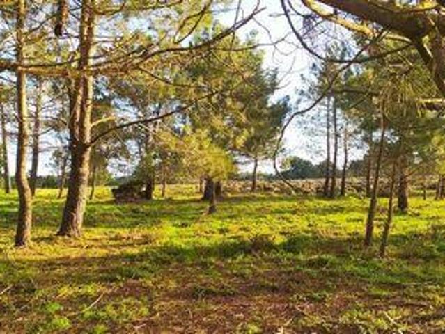 Terrenos Vila Do Bispo Faro DLS94875568