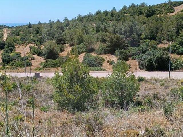 Terrenos Vila do Bispo Faro DLS97101603