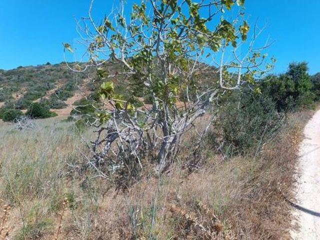 Terrenos Vila do Bispo Faro DS97100843