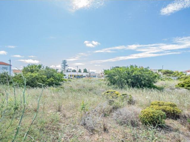 Terrenos Vila do Bispo Vila do Bispo DS90646329