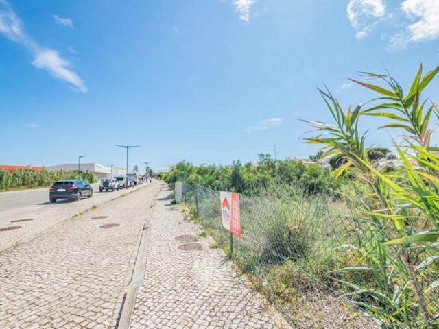 Terrenos Vila do Bispo Vila do Bispo DS90646333