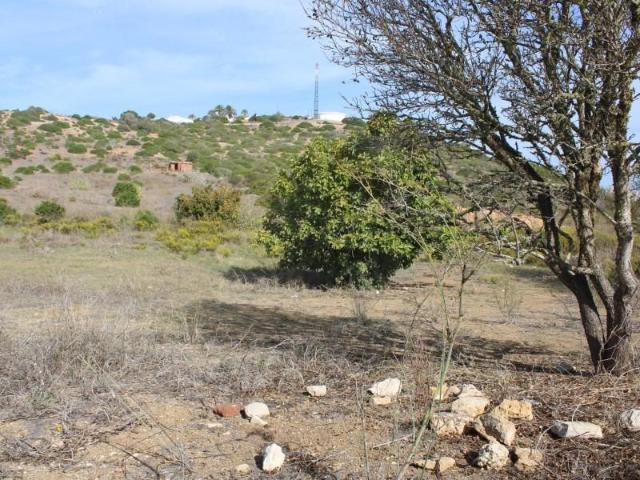 Terrenos Vila do Bispo Vila do Bispo DS97121275