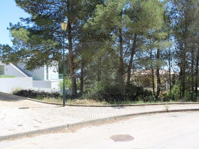 Terrenos Vila do Bispo Vila do Bispo DS97123874