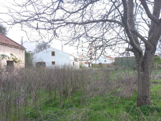 Terrenos Vila do Bispo Vila do Bispo DS97909450