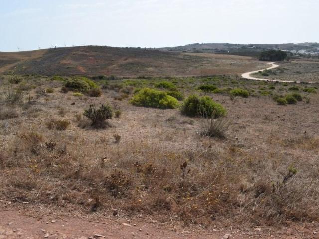 Terrenos Vila do Bispo Vila do Bispo DS100030497