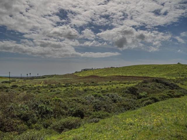 Terrenos Vila do Bispo Vila do Bispo DS101212901