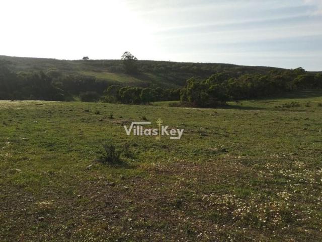 Terrenos Vila do Bispo Vila do Bispo DS101239571