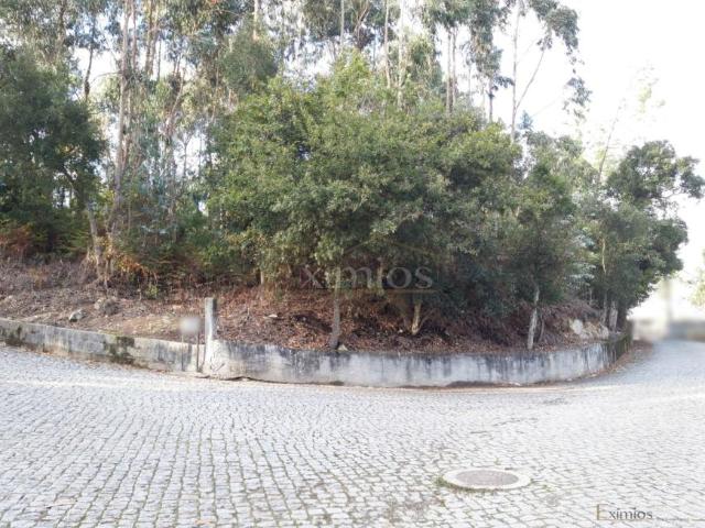 Terrenos Vila do Conde Porto DS94289496