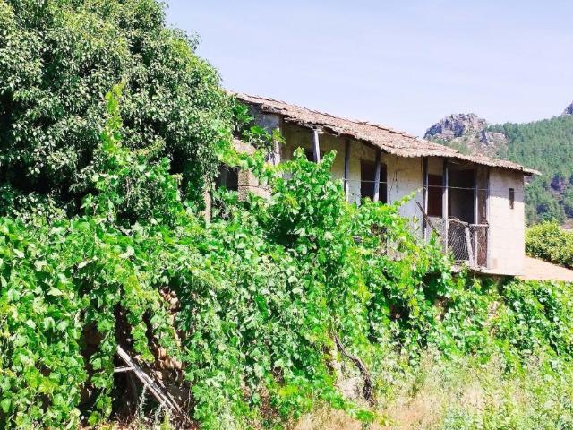 Terrenos Vila Flor Bragança DS102439471