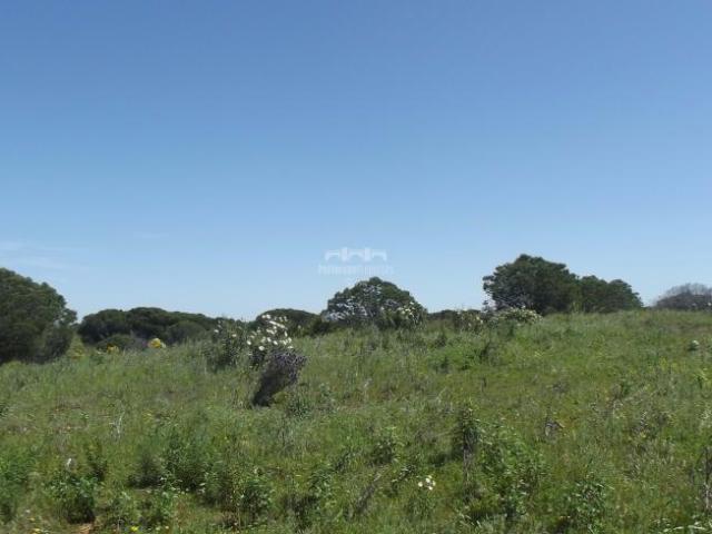 Terrenos Vila Real de Santo António Algarve DLS101774739