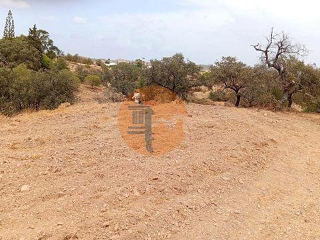 Terrenos Vila Real de Santo António Faro 8800 000 DS96319781
