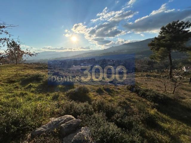 Terrenos Vila Real Vila Real DLS101202505