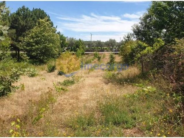 Terrenos Vila Real Vila Real DLS102667682