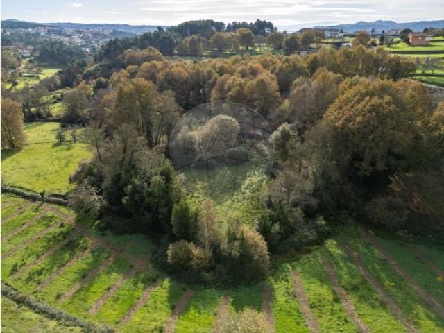Terrenos Vila Real Vila Real DLS102775397