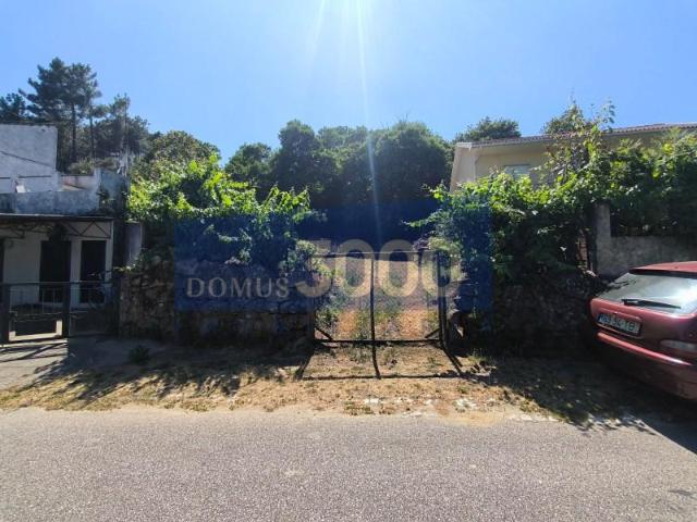 Terrenos Vila Real Vila Real DS94184899