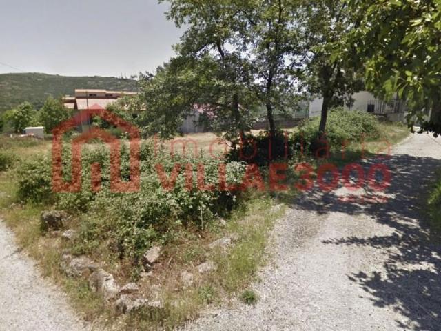 Terrenos Vila Real Vila Real DS97118763