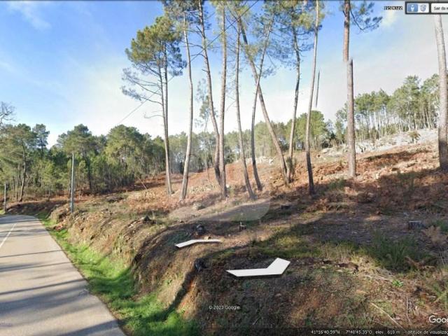Terrenos Vila Real Vila Real DS97123909