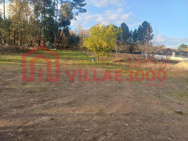 Terrenos Vila Real Vila Real DS98362664