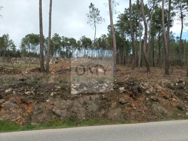 Terrenos Vila Real Vila Real ES97123909