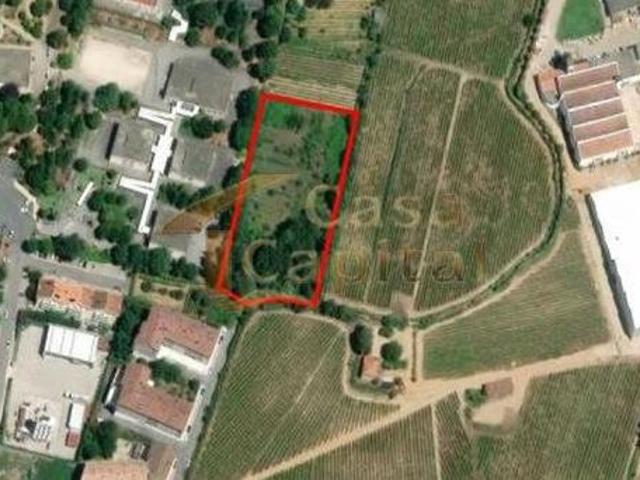Terrenos Vila Real Vila Real 5000 DLS98918842