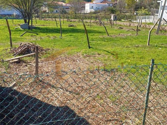 Terrenos Vila Real Vila Real 5000 DS100631704