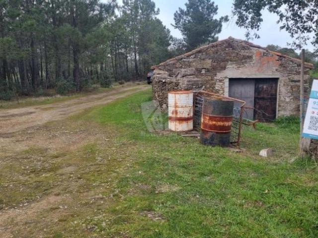 Terrenos Vila Velha de Ródão Castelo Branco DS98320187