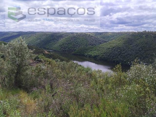 Terrenos Vila Velha de Rodão Vila Velha de Rodão DS102441254