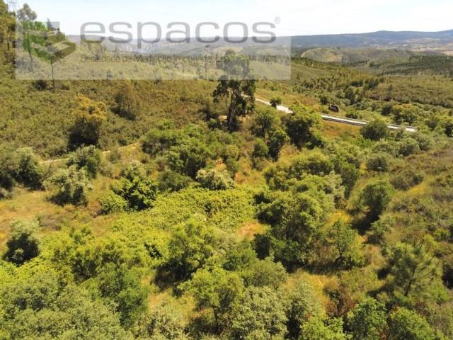Terrenos Vila Velha de Rodão Vila Velha de Rodão DS102933685