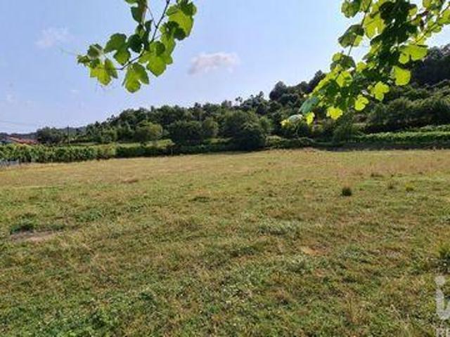 Terrenos Vila Verde Braga DS99129851