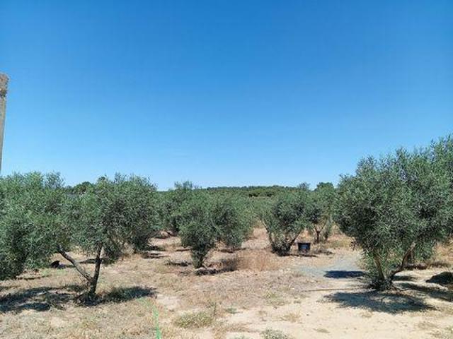 Terrenos Villablanca La Costa 102957508