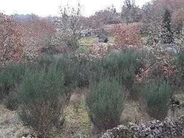 Terrenos Viseu Vila Nova de Paiva 3650 DS101469065