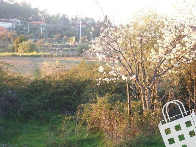 Terrenos Viseu Viseu DLS47824735