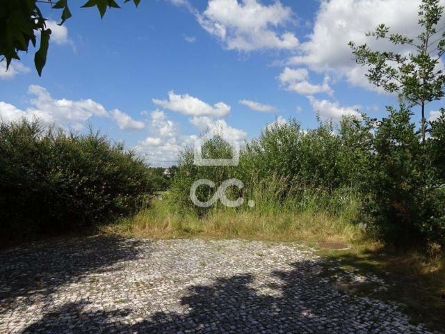 Terrenos Viseu Viseu DLS59674781