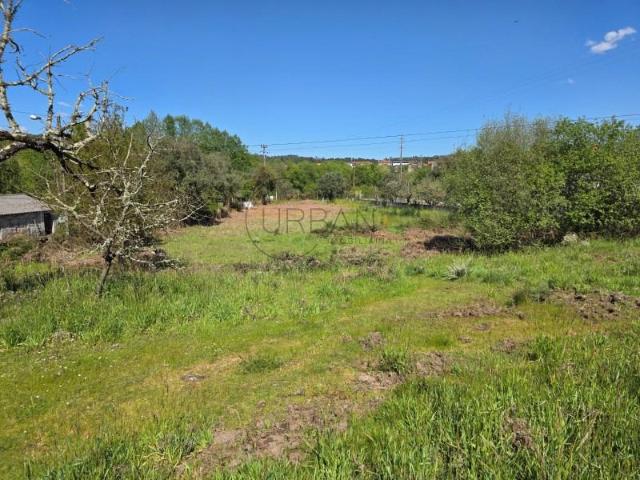Terrenos Viseu Viseu DLS90122528