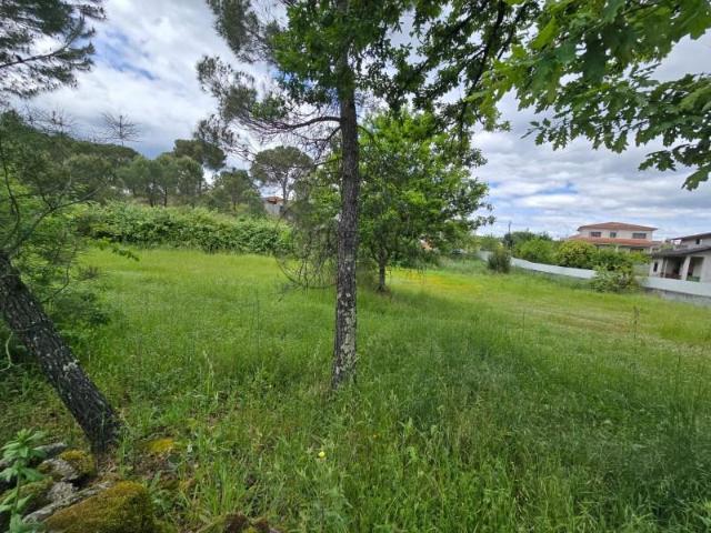 Terrenos Viseu Viseu DLS90670790