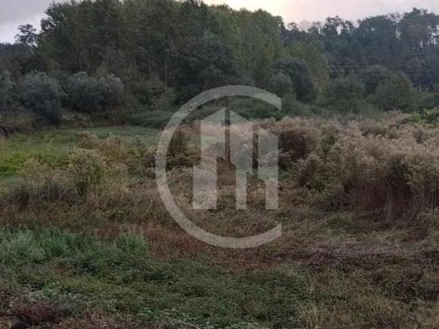 Terrenos Viseu Viseu DLS96432466