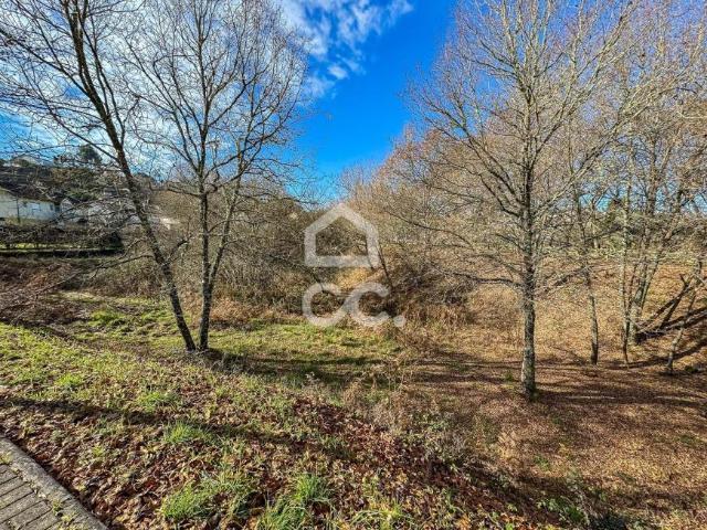 Terrenos Viseu Viseu DLS97909506
