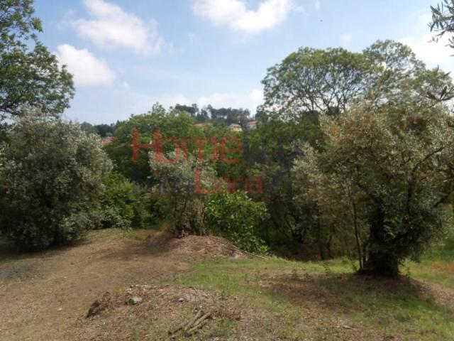 Terrenos Viseu Viseu DS102305557
