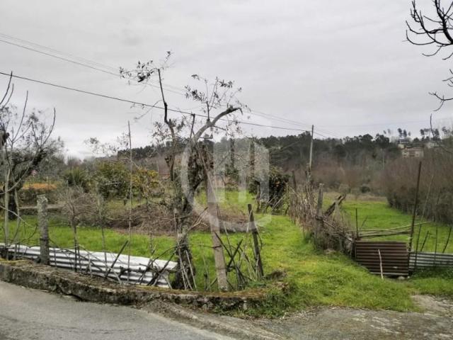 Terrenos Viseu Viseu DS98106324