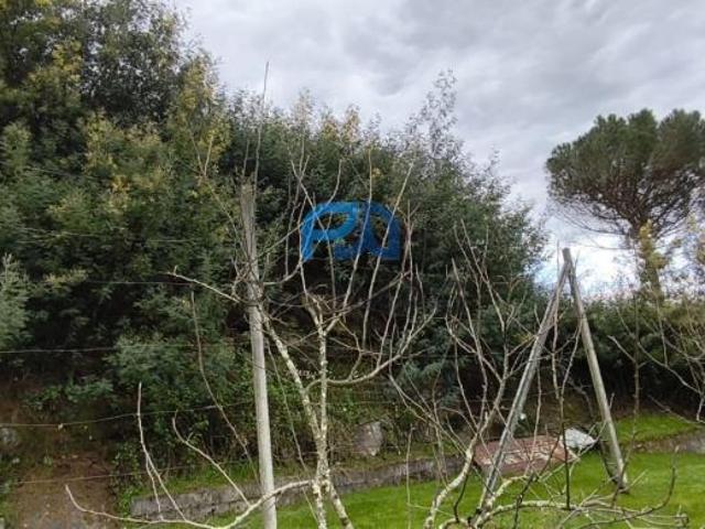 Terrenos Viseu Cinfães 4690 DLS99974124