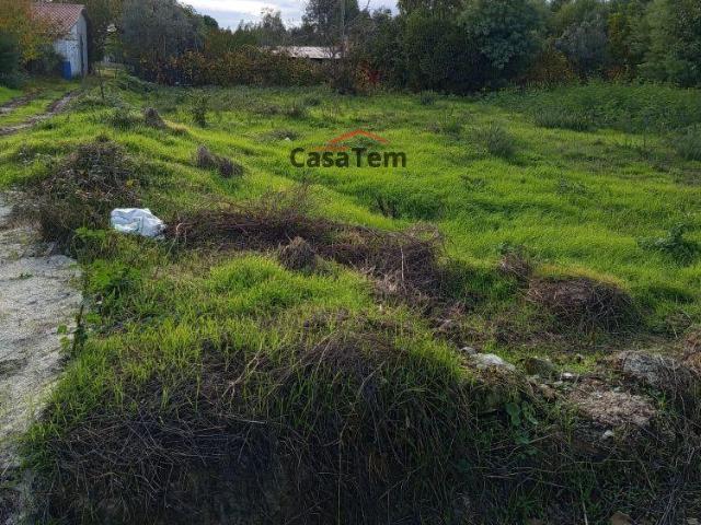 Terrenos Viseu Nelas 3520 DS97226111