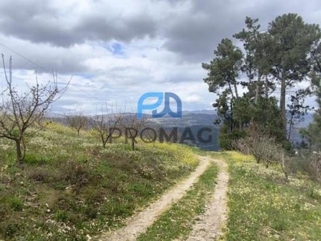 Terrenos Viseu Resende 4660 DS100298878