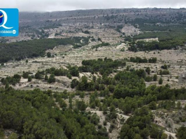 Terrenos Xixona Alicante 101403292