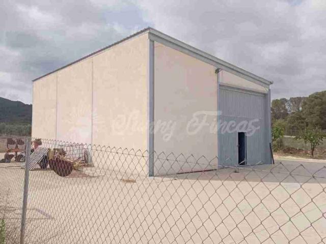 Terrenos Yecla Murcia 81197515
